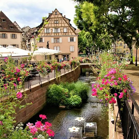 Hyper Center & Petite France - Entire *