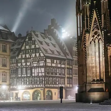 Апартаменты Hyper Center & Petite France - Entire Страсбург