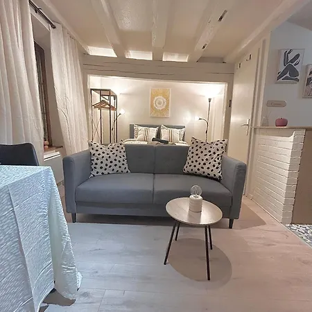 Hyper Center & Petite France - Entire Апартаменты Страсбург