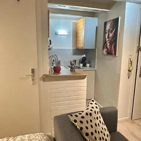 Апартаменты Hyper Center & Petite France - Entire