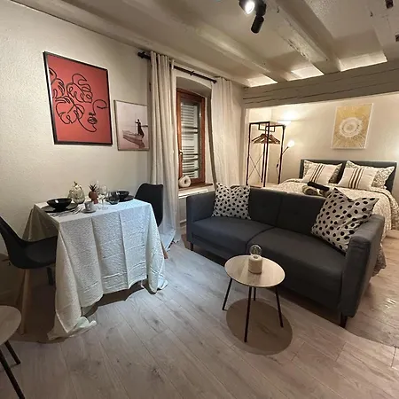 Hyper Center & Petite France - Entire Apartamento