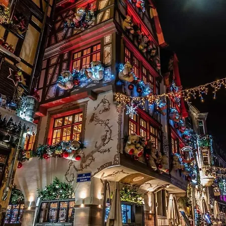 Апартаменты Hyper Center & Petite France - Entire Страсбург