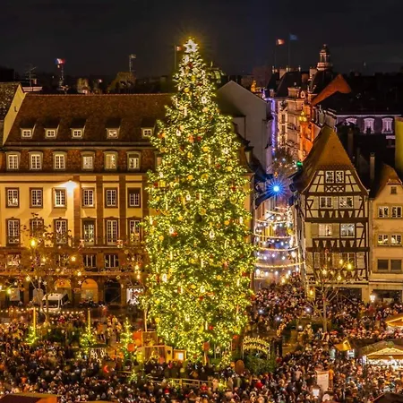 Hyper Center & Petite France - Entire Apartment *