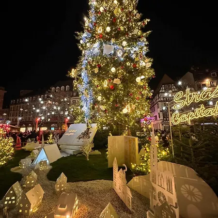 Hyper Center & Petite France - Entire Apartamento Estrasburgo