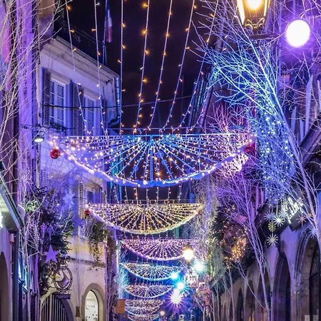 Hyper Center & Petite France - Entire 스트라스부르