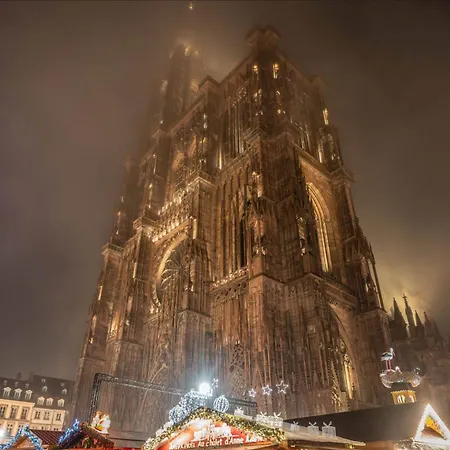 Hyper Center & Petite France - Entire Strasbourg