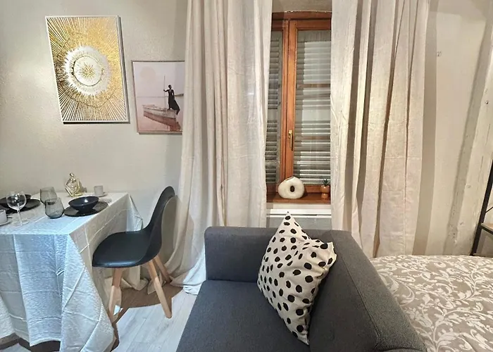 Hyper Center & Petite France - Entire Daire Strazburg
