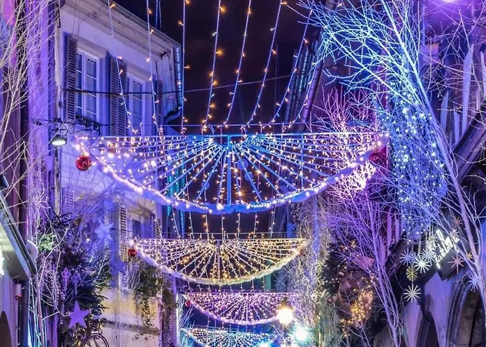 Hyper Center & Petite France - Entire 스트라스부르