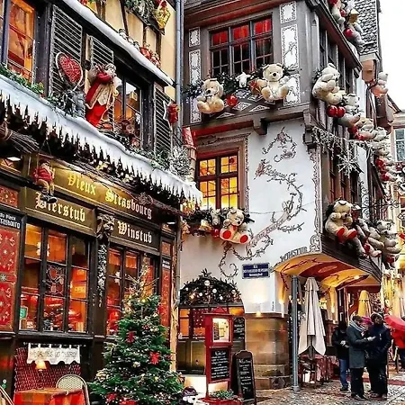 Apartament Hyper Center & Petite France - Entire Strasburg